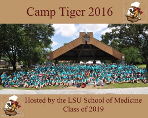 Camp Tiger 2016